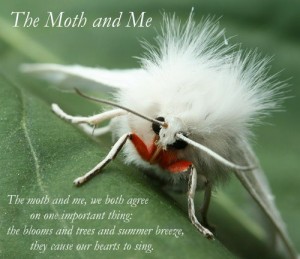 The Moth and Me #12