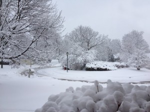 Chicago winter Grinter